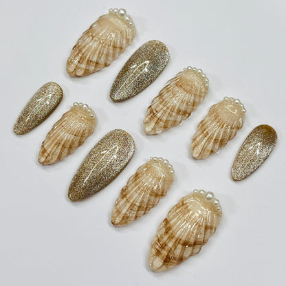 Seashell